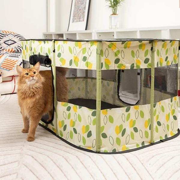Folding Kitten Tent and Cat House, Espaço para Cuidar de Cesta de Animais, Camas Indoor Pet para Cães e Gatos