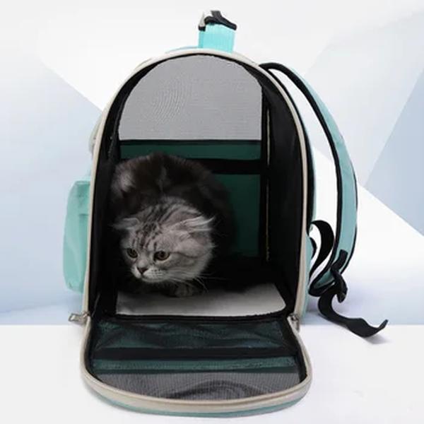 Sacos à prova de vento para animais de estimação, Mochila de viagem ao ar livre para gato, Saco de transporte de cães pequenos