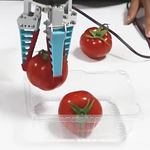 Garra flexível industrial do robô com dedo mecânico do silicone, fruto industrial classificando o prendedor, garra elétrica pneumática adaptável, 2kg