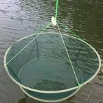 Dobrável Drop Fishing Landing Net, Lagostins, Camarão, Catcher Tank, Casting Network Mesh for Fish Eels, Trap Cage, Camarão Isca, Caranguejo, L7F4