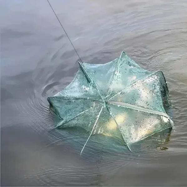 Malha dobrável para rede de pesca, Combater, Gaiola, Crayfish Catcher, Fundição, Rede de peixes, Caranguejo, Lagostins, Camarão, Cheiro, Enguias Armadilhas