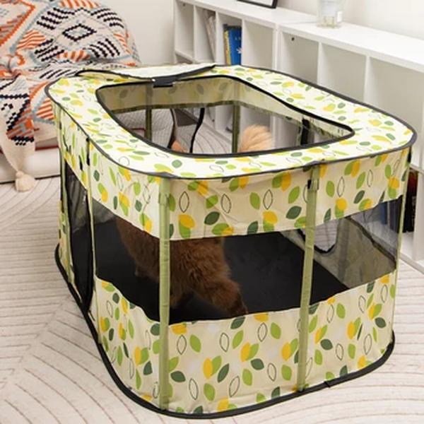 Folding Kitten Tent and Cat House, Espaço para Cuidar de Cesta de Animais, Camas Indoor Pet para Cães e Gatos