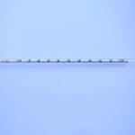 Petróleo e Gasolina Diesel Densidade Medidor, Gasolina Densitômetro Tester, Medição Faixa 0, 80-0, 85 Precisão, 0,005