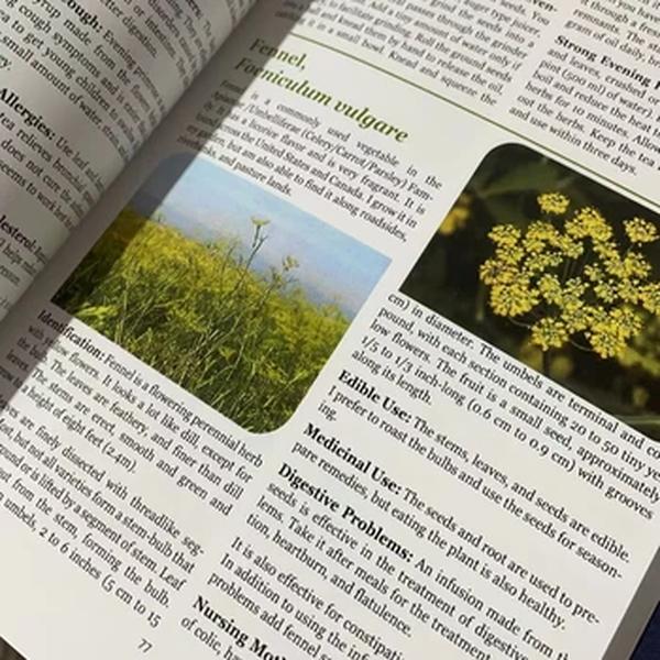 O Livro Perdido dos Remédios Herbal, O Poder de Cura da Medicina Vegetal, Brochura, Contém Imagens Coloridas