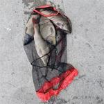 Saco de malha de pesca dobrável equipamento de pesca espessamento pequena grade redes de peixes vivos saco pacote boca net saco de pesca fornecimento