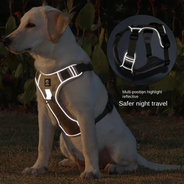 Ajustável Harness Dog Reflective Safety Training Walking Chest Vest Leads Collar Para Bulldog Francês Animais Cães Acessórios