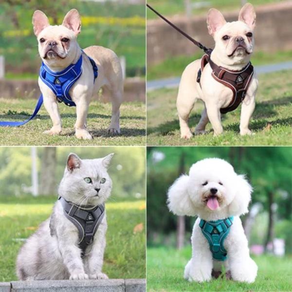 Cão arreios conjunto de coleira ajustável pet cinta de peito para pequenos cães médios gatos reflexivo filhote de cachorro arnês colete francês-bulldog york