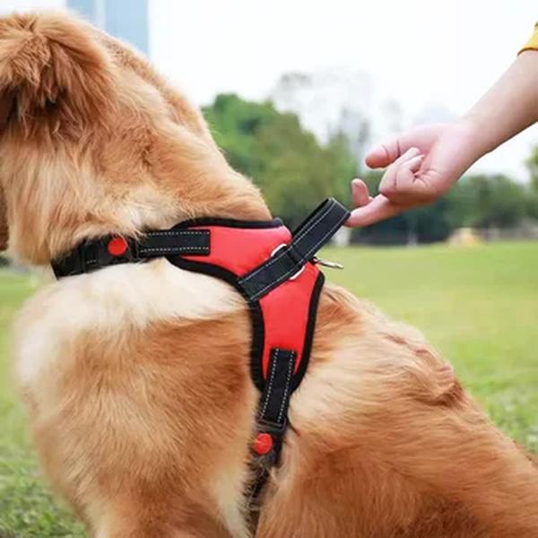 Coleira de arnês reflexiva ajustável, Pet Chest Strap, Coleiras de treinamento ao ar livre, chumbo para cães pequenos, médios e grandes