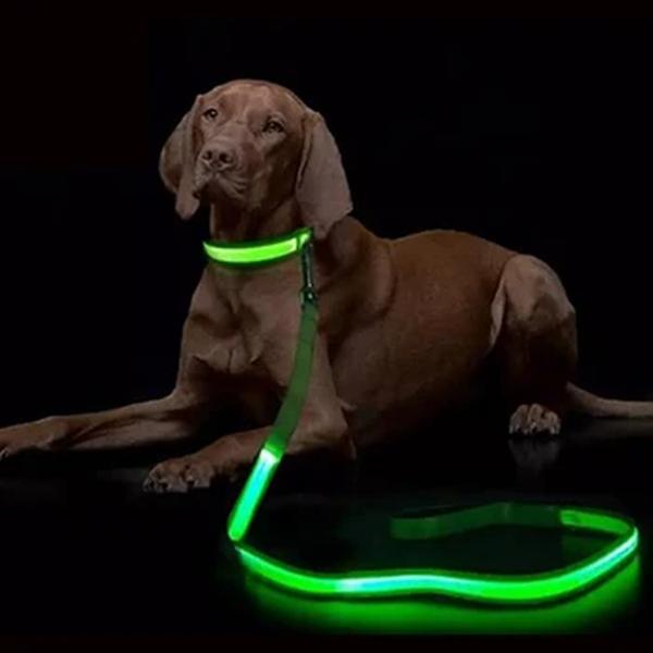 LED Light Up Dog Leash, corda luminosa, trela de chumbo para cão, segurança piscando, coleira de cão brilhante, acessórios eletrônicos para animais de estimação