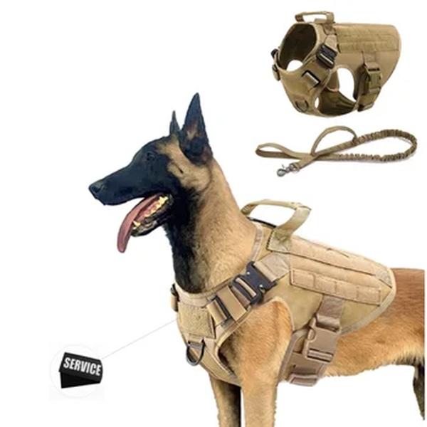 Conjunto de coleira e arnês para cães grandes, pastor alemão, malinois, treinamento, colete ambulante, conjunto de coleiras para cães de todas as raças