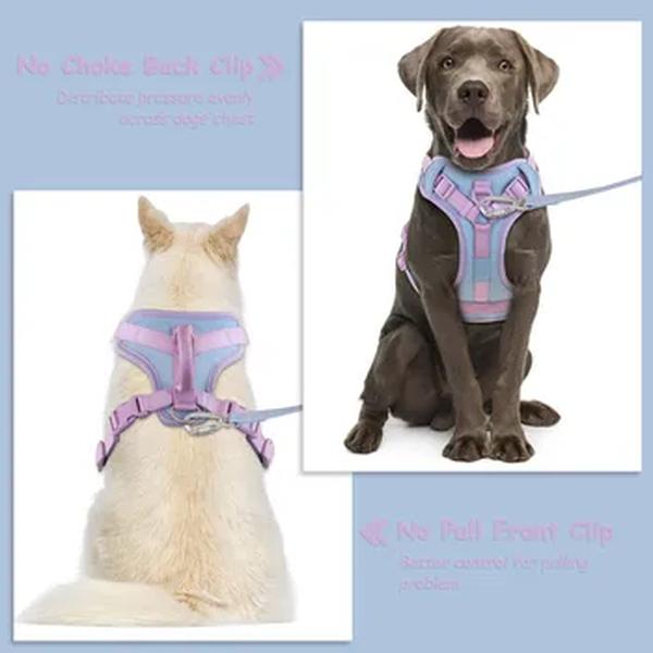 Não Pull Dog Harness e Leash Set, cinta no peito ajustável, Collar, personalizado, médio, pequeno