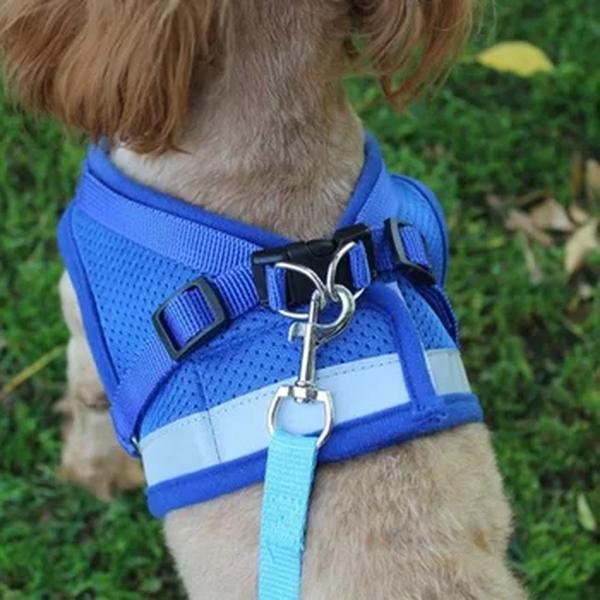 Ajustável Mesh Vest Harness com corda de tração, Dog Harness Collar, Peito Strap, XS, S, M, L, XL