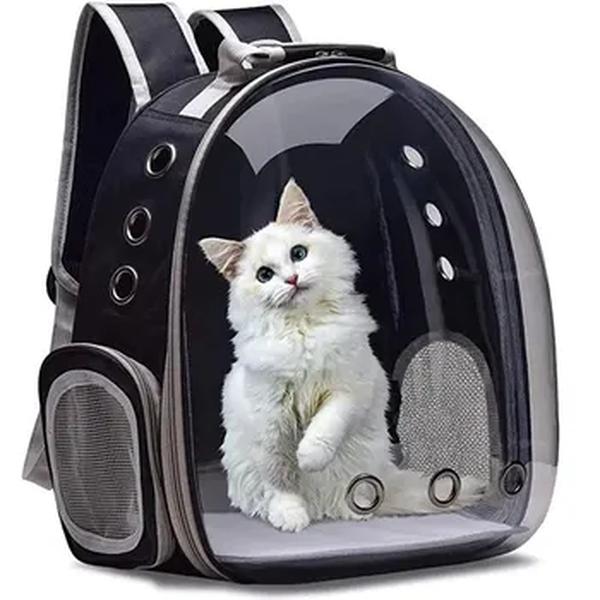 Transparente Pet Carrier Backpack, Cápsula Transparente, Bubble Pet Backpack, Pequeno animal filhote de cachorro Kitty e pássaro, respirável para viagens