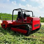 Customized Park Lawn Trimmer, Tracked Controle Remoto, Agrícola e Orchard Poda Máquina