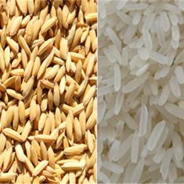 Frete grátis máquina de moinho de arroz agrícola máquina de polimento de arroz de grãos descascador de arroz elétrico