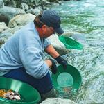 Lavar Gold Panning Machine Screen, Mining Screen, Ferramentas De Detecção De Metal, Gold Pan, Tigela De Plástico Verde, 10 ", 14", 15 ", 1Pc