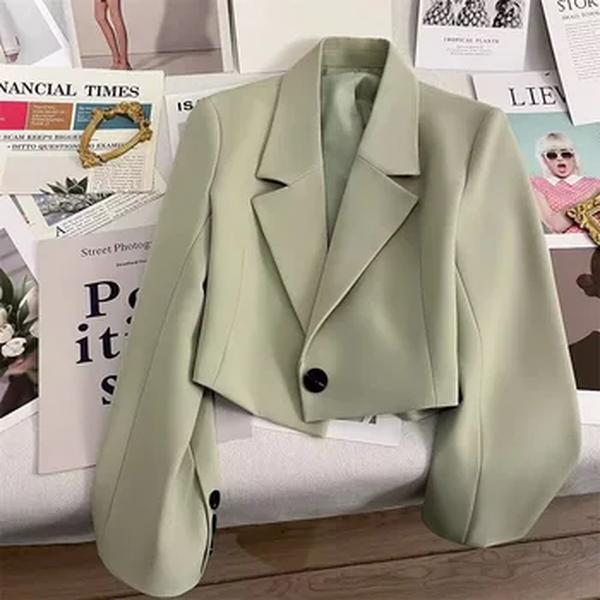 Blazers coreanos cortados para mulheres, outwear simples de um botão, manga comprida com tudo, jaqueta de senhora do escritório, monocromática, adolescentes, outono